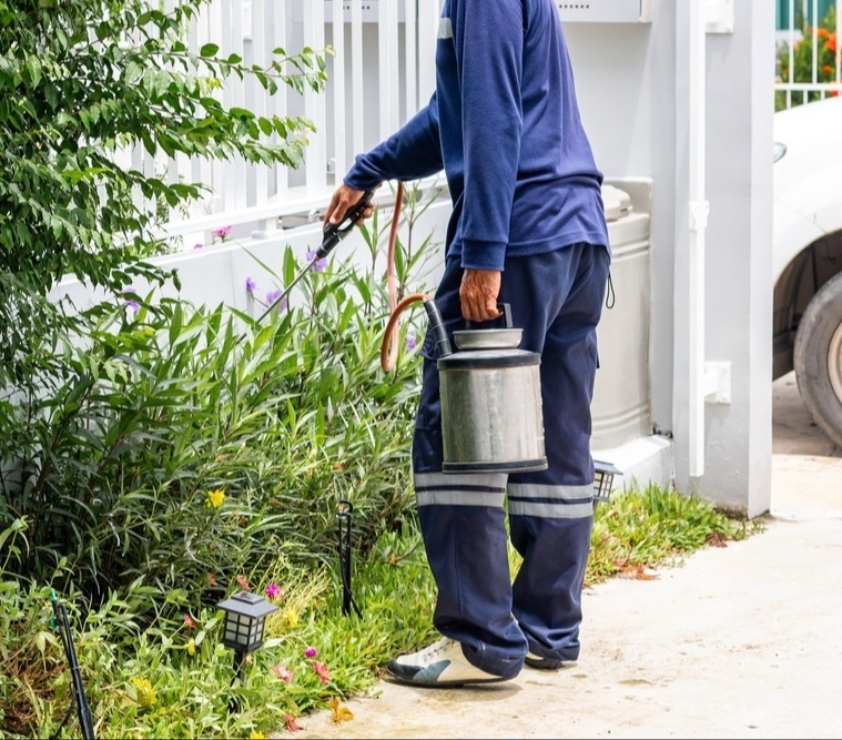 pest control marketing